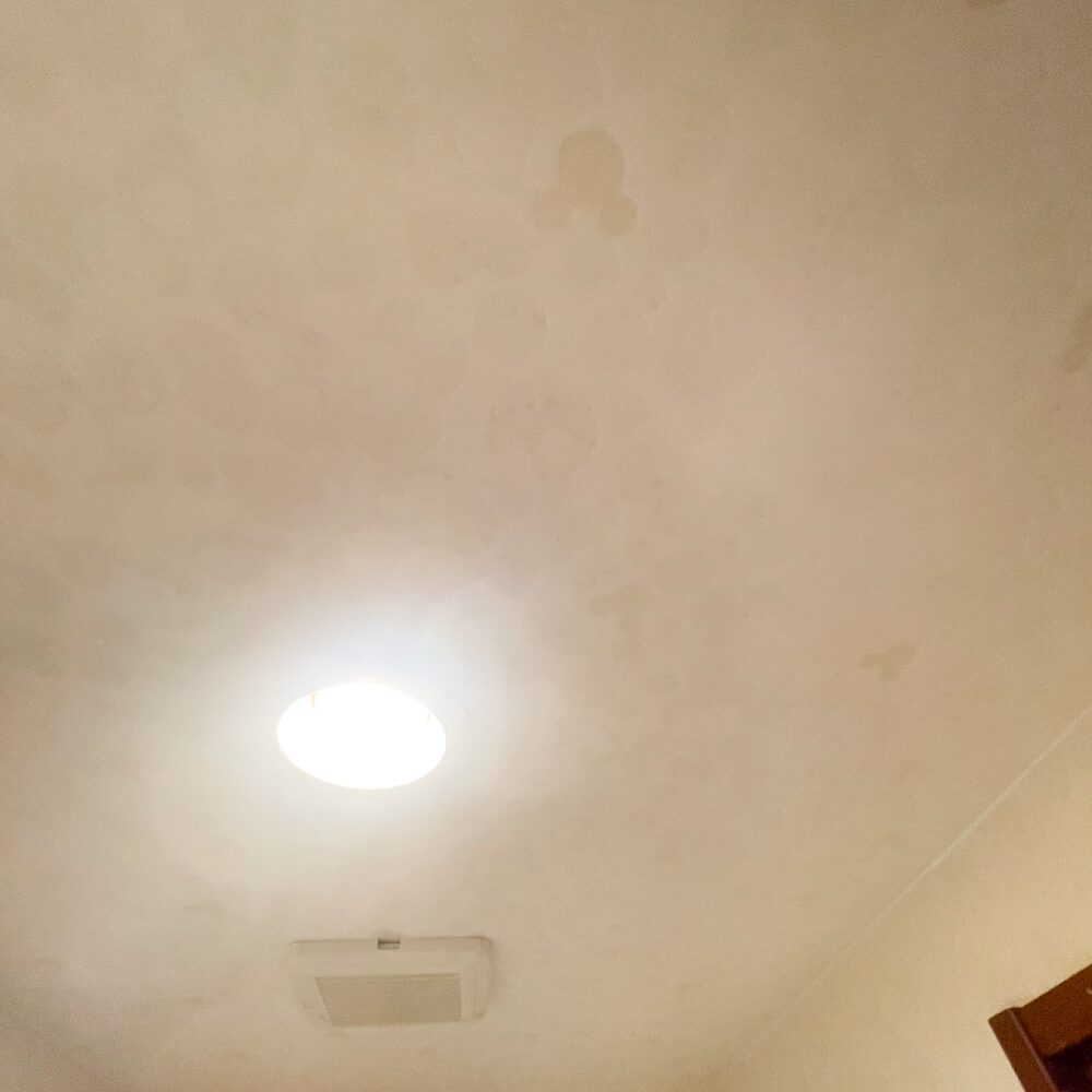 施工完了後のトイレ天井壁紙画像:大阪府豊中市のリフォーム会社『ゆきプロ』の施工事例:1日で快適空間へ!TOTOピュアレストQRで叶えるマンションのトイレリフォーム