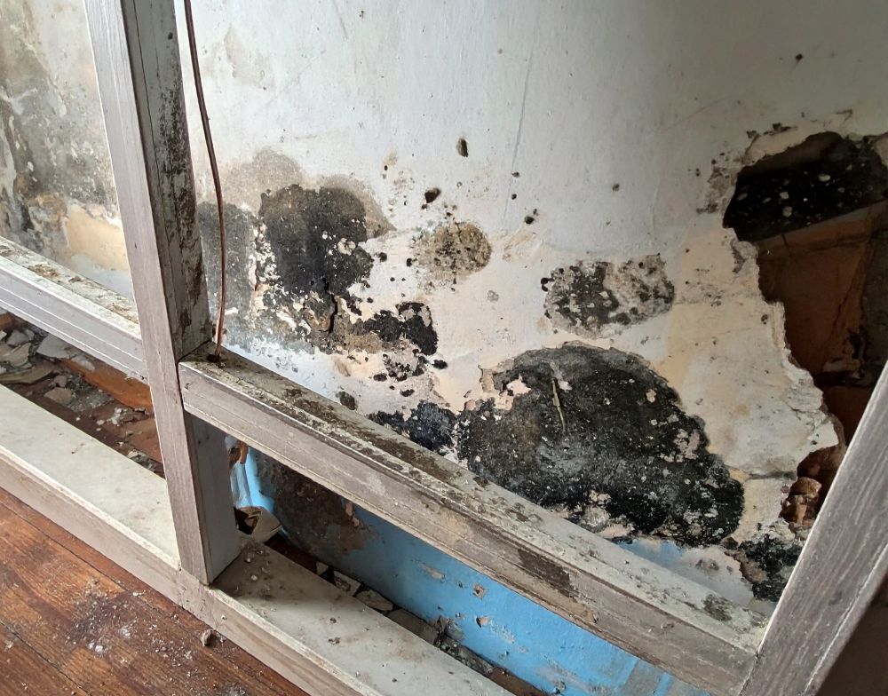 「放置」が招く代表的な失敗事例(湿気、配管トラブル、内装劣化)