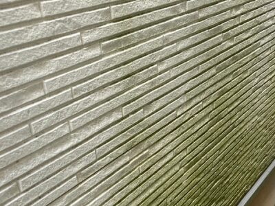 外壁のコケ・カビ・藻