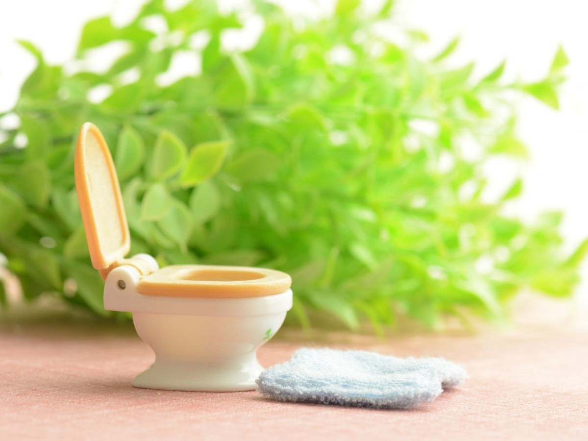 1. 豊中市でトイレリフォームを検討中の方へ:大阪府豊中市のリフォーム会社『ゆきプロ』リフォームお役立ちコラム