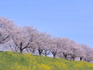 豊中市でのベストな塗装時期はいつ？季節ごとのメリット・デメリット：大阪府豊中市のリフォーム会社『ゆきプロ』リフォームお役立ちコラム