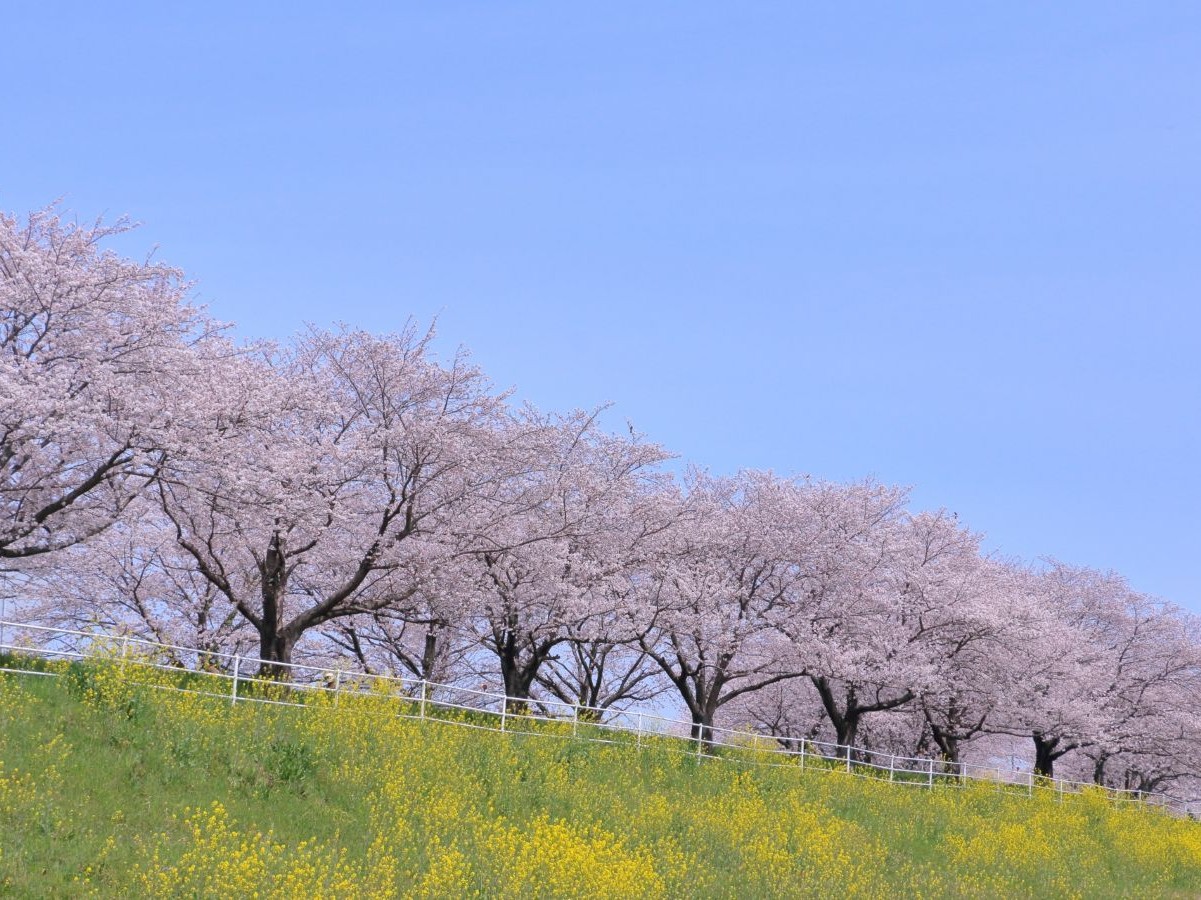 豊中市でのベストな塗装時期はいつ？季節ごとのメリット・デメリット：大阪府豊中市のリフォーム会社『ゆきプロ』リフォームお役立ちコラム