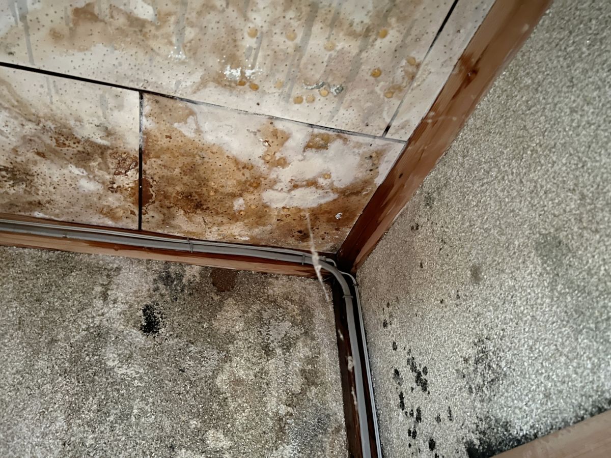 1. 梅雨前に点検すべき理由|豊中市でよくある雨漏りトラブルの実態:大阪府豊中市のリフォーム会社『ゆきプロ』リフォームお役立ちコラム