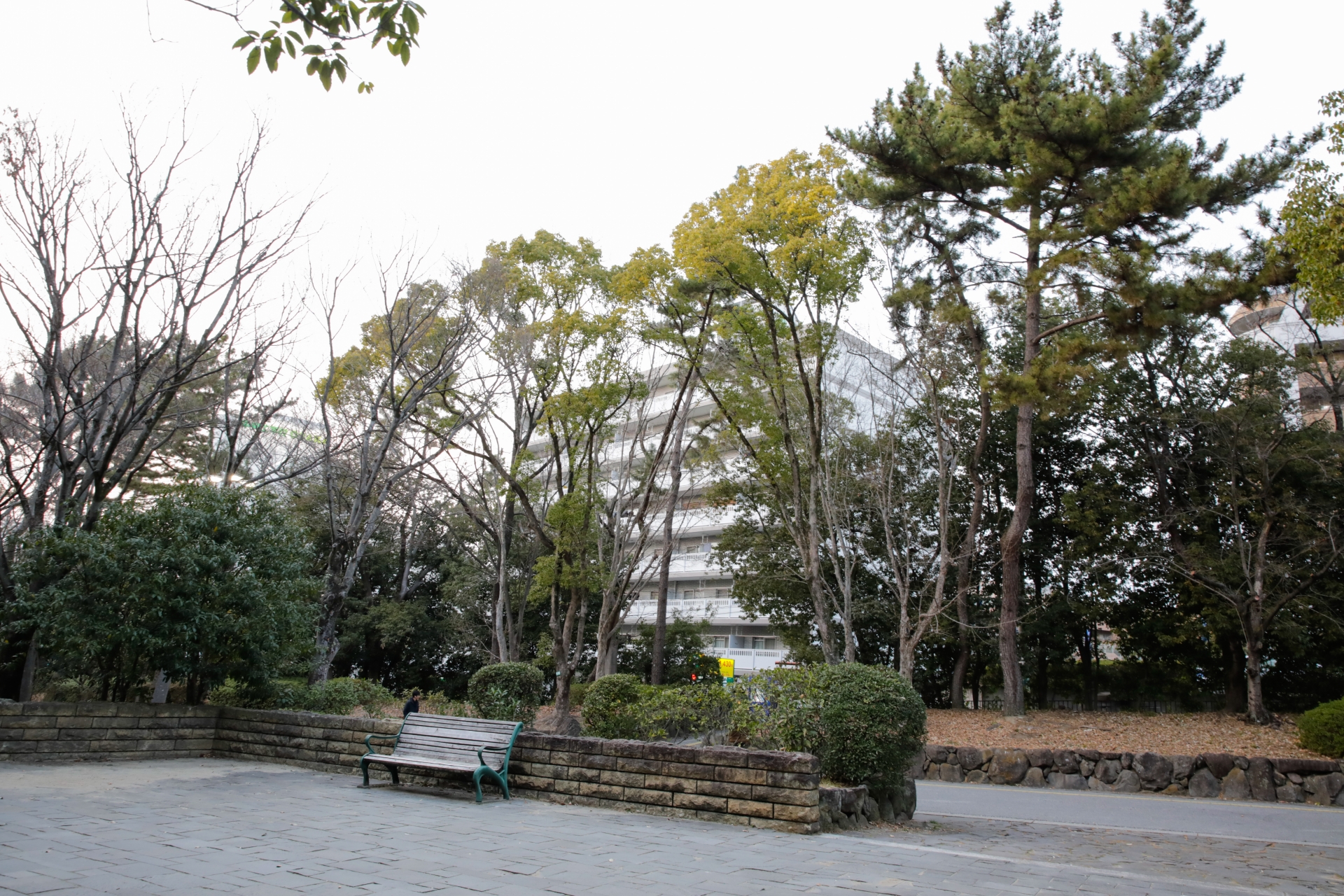 豊中市にある服部緑地